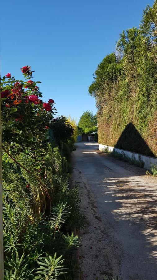 Hébergement de vacances Gîte Mercues Mercuès